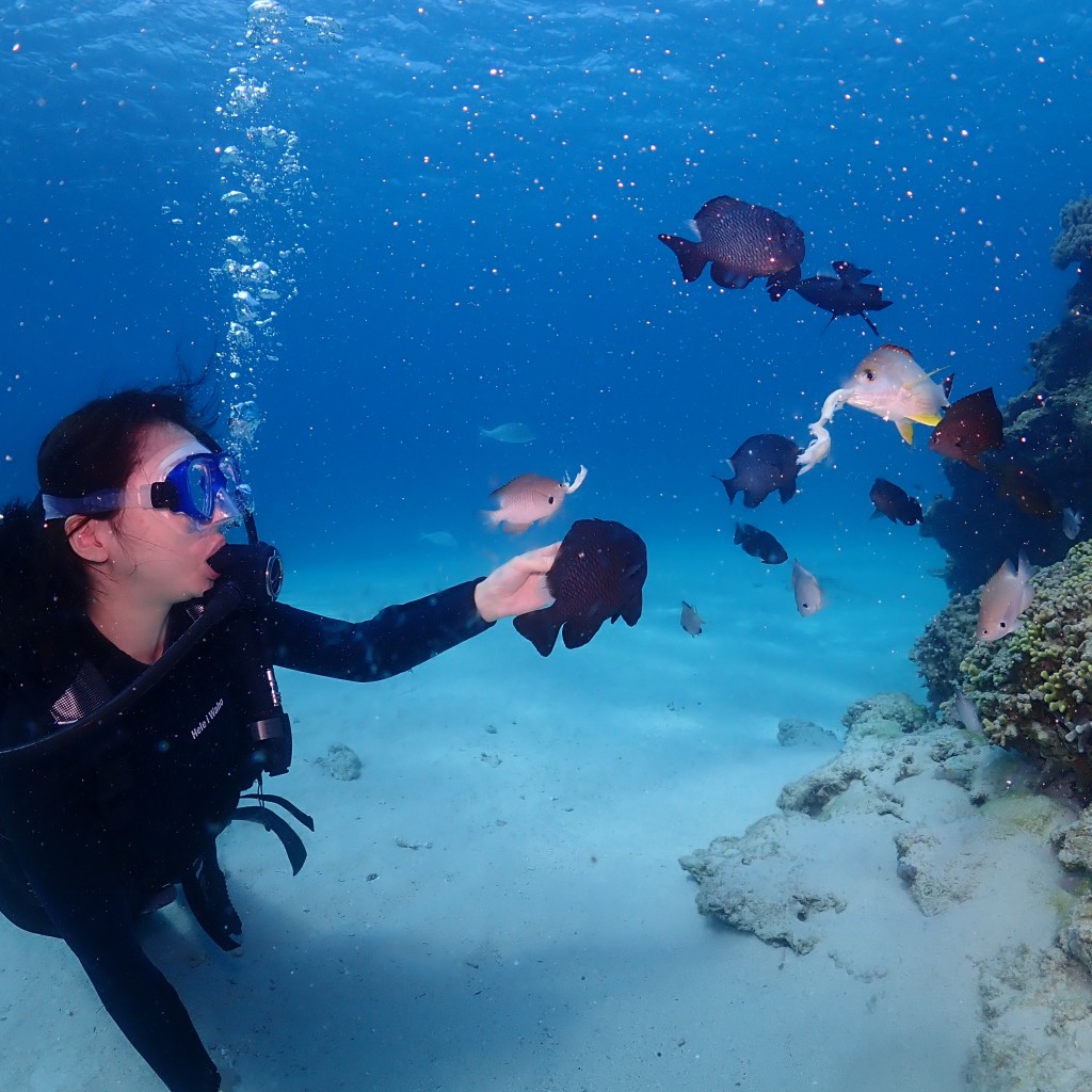 3/31 沖縄北部 体験ダイビング&シュノーケリング 4組様♡ 古宇利島ダイビング