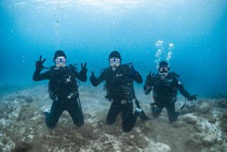 BSAC OCEAN DIVER | 古宇利島ダイビング